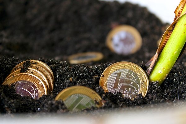 Philosophie de vie du mouvement fire : liberté financière anticipée